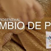The lyrics RODODENDRO of DENISE ROSENTHAL is also present in the album Cambio de piel (2017)