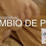 The lyrics LUNA of DENISE ROSENTHAL is also present in the album Cambio de piel (2017)