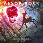 The lyrics HOLY WATERFALL of AESOP ROCK is also present in the album Spirit world field guide (2020)