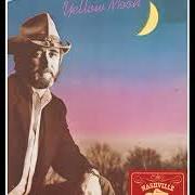 The lyrics LOVE IS ON A ROLL of DON WILLIAMS is also present in the album Yellow moon (1983)