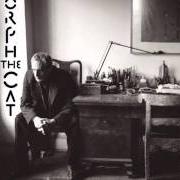 The lyrics MARY SHUT THE GARDEN DOOR of DONALD FAGEN is also present in the album Morph the cat (2006)
