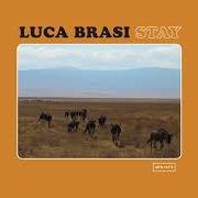 The lyrics THE CALM AND THE EASE of LUCA BRASI is also present in the album Stay (2018)
