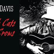 The lyrics LADY DOWN ON LOVE of WARD DAVIS is also present in the album Black cats and crows (2020)