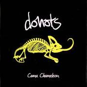 Coma chameleon