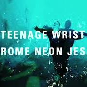The lyrics BLACK FLAMINGO of TEENAGE WRIST is also present in the album Chrome neon jesus (2018)