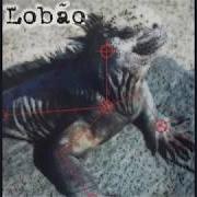 The lyrics CANOS SILÊNCIOSÓS of LOBÃO is also present in the album Lobão (2015)