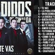 The lyrics TU FORMA DE SER of PERDIDOS DE SINALOA is also present in the album Te vas (2016)