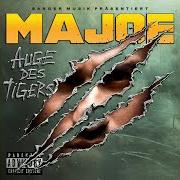Auge des tigers