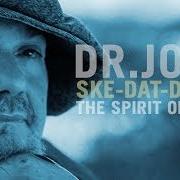 The lyrics NOBODY KNOWS THE TROUBLE I'VE SEEN of DR. JOHN is also present in the album Ske-dat-de dat... the spirit of satch (2014)