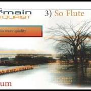 The lyrics WHAT YOU THINK ABOUT ... of ST. GERMAIN is also present in the album Tourist (2000)