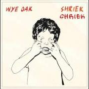 The lyrics PARADISE of WYE OAK is also present in the album Shriek (2014)