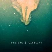 The lyrics WE WERE WEALTH of WYE OAK is also present in the album Civilian (2011)