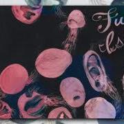 The lyrics FLICKER & FLUTTER of FUTURE ISLANDS is also present in the album Wave like home (2008)