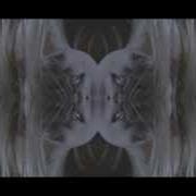 Holon : agnosie