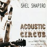 The lyrics L'UOMO CHE SA of SHEL SHAPIRO & MAURIZIO VANDELLI is also present in the album Acoustic circus (2008)