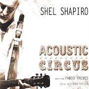 The lyrics SAWDUST CIRCUS of SHEL SHAPIRO & MAURIZIO VANDELLI is also present in the album Affittasi (remastered) (1972)