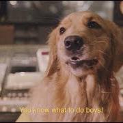 The lyrics GOLDEN RETRIEVER of DZ DEATHRAYS is also present in the album Positive rising: part 2 (2021)