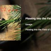 The lyrics ABUNDANT LIVING of ICEAGE is also present in the album Plowing into the field of love (2014)