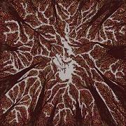 The lyrics CROWN SHYNESS of TRASH BOAT is also present in the album Crown shyness (2018)