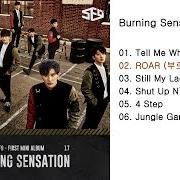The lyrics ??? ROAR of SF9 is also present in the album Burning sensation (2017)