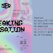 The lyrics ?? ??? INTRO of SF9 is also present in the album Breaking sensation (2017)