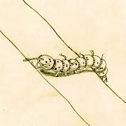 The lyrics I MIEI OCCHI ERANO TUOI of CHIELLO is also present in the album Scarabocchi (2025)