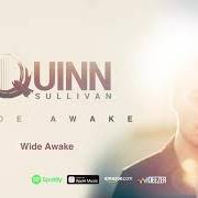 The lyrics STRAWBERRY RAIN of QUINN SULLIVAN is also present in the album Wide awake (2021)