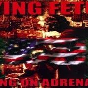 The lyrics WE ARE YOUR ENEMY of DYING FETUS is also present in the album Killing on adrenaline (1998)