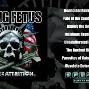 The lyrics RAPING THE SYSTEM of DYING FETUS is also present in the album War of attrition (2007)