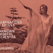 The lyrics TWO GENERATIONS OF EXCESS of UNKNOWN MORTAL ORCHESTRA is also present in the album Two generations of excess (2024)