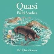 The lyrics UNDER A CLOUD of QUASI is also present in the album Field studies (1999)