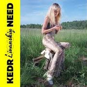 The lyrics IVAN KUPALA (NEW DAY) [???? ??????] of KEDR LIVANSKIY is also present in the album Your need (2019)