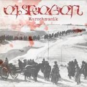 The lyrics FLEISCHBRAND of EISREGEN is also present in the album Marschmusik (2015)