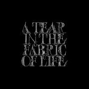 The lyrics WHERE LIGHT DIVIDES THE HOLLER of KNOCKED LOOSE is also present in the album A tear in the fabric of life (2021)