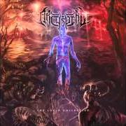 The lyrics FATHOM INFINITE DEPTH of ARCHSPIRE is also present in the album The lucid collective (2014)