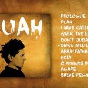 The lyrics SALVE REGINA of MICHAEL PATRICK KELLY is also present in the album Ruah (2016)