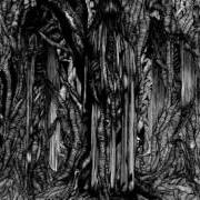 The lyrics CURSED REALM (OF THE WINTERDEMONS) of SUNN O))) is also present in the album Black one (2005)
