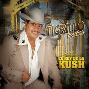 The lyrics CARTEL SINALOENSE of EL TIGRILLO PALMA is also present in the album El rey de la kush (2009)