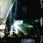 The lyrics CROWN OF THORNS of ADORA is also present in the album Safeguard the helpless (2005)