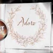 The lyrics DIE LIEBE IST EINE ROSE of ADORO is also present in the album Das beste (2013)