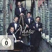 The lyrics FÜR IMMER JUNG of ADORO is also present in the album Träume (2012)