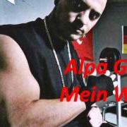 The lyrics PATRIOT of ALPA GUN is also present in the album Aufstand auf den billigen plätzen - (single) (2008)