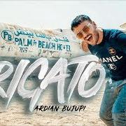 The lyrics VIP of ARDIAN BUJUPI is also present in the album Arigato (2018)