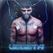 The lyrics INTRO of ARDIAN BUJUPI is also present in the album Vegeta (2024)