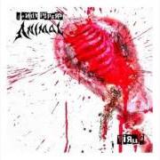 The lyrics DON'T WANNA DIE of ANIMAL is also present in the album Virus (2008)