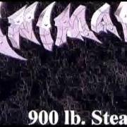 The lyrics NEVER of ANIMAL is also present in the album 900 lb. steam (2002)