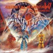 Animetal marathon vi