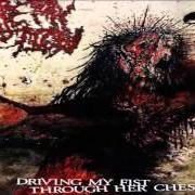 The lyrics HATE, RAPE, MUTILATE of ARTERY ERUPTION is also present in the album Driving my fist through her chest (2009)