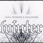 The lyrics ALLEIN of ANNA TRÜMNER is also present in the album Winter (2021)