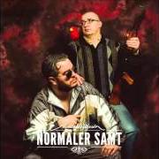 The lyrics DAS LETZTE LIED of AUDIO88 & YASSIN is also present in the album Normaler samt (2015)